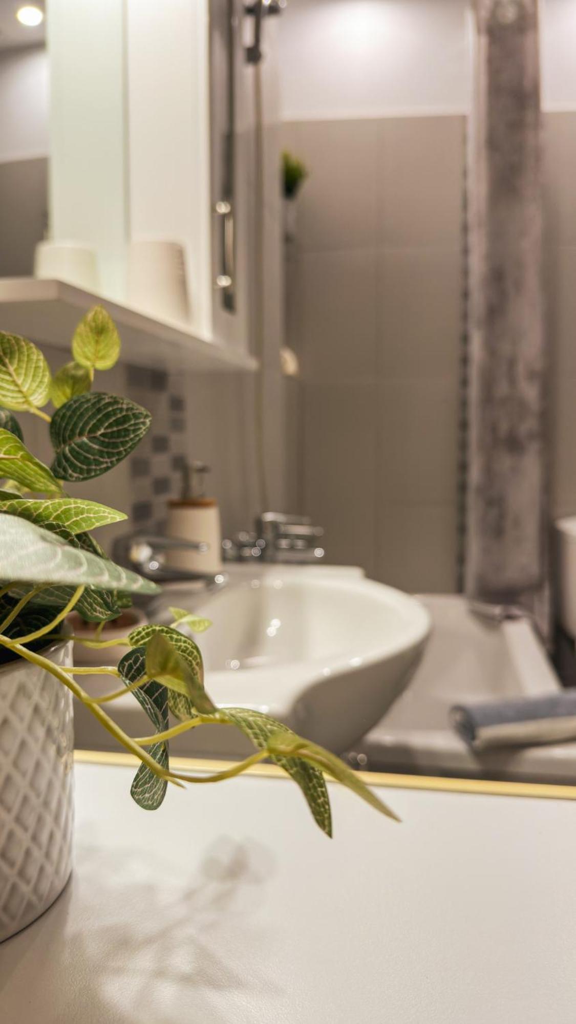 Agora Apartment ピタゴリオ エクステリア 写真